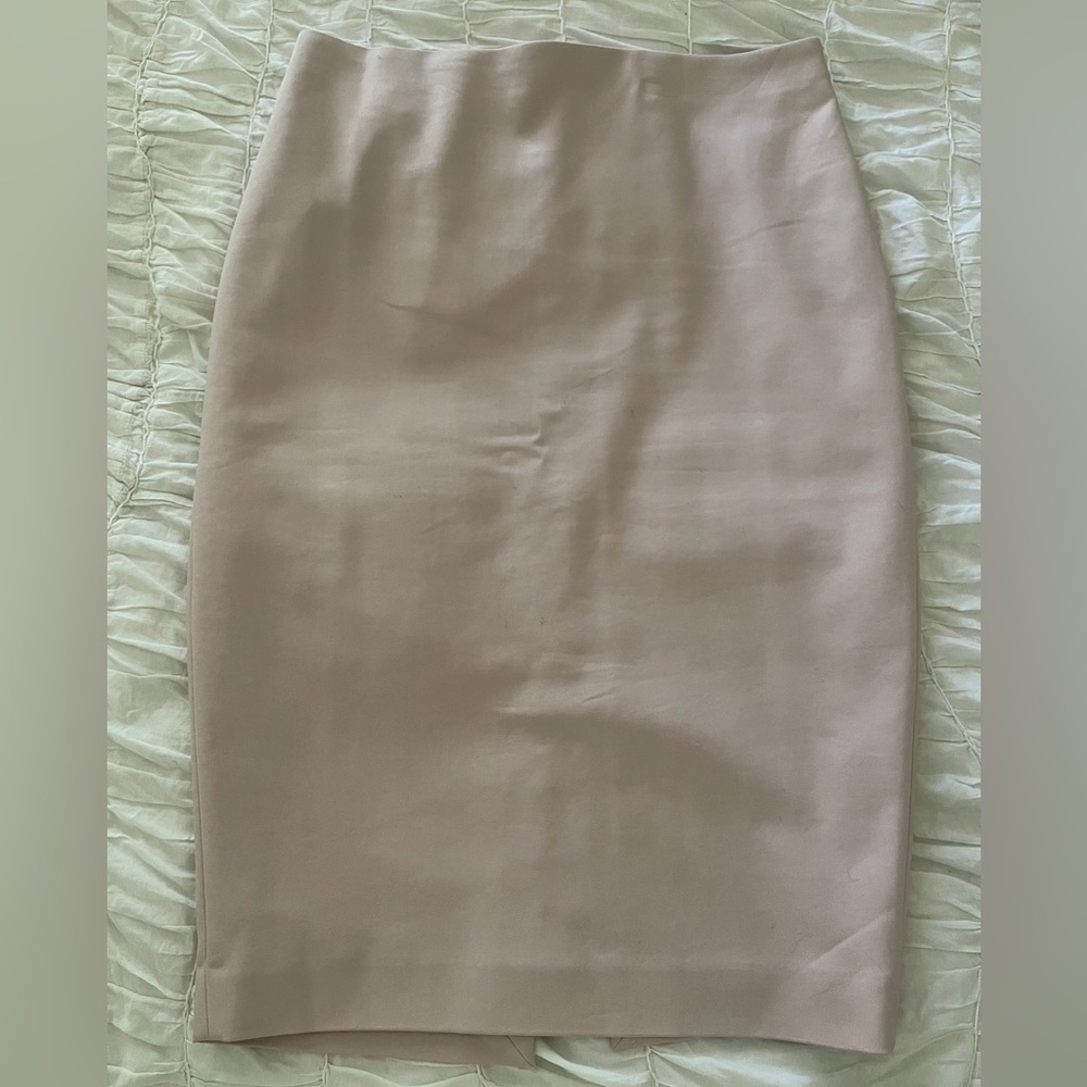 Express Midi Pencil Skirt - 4